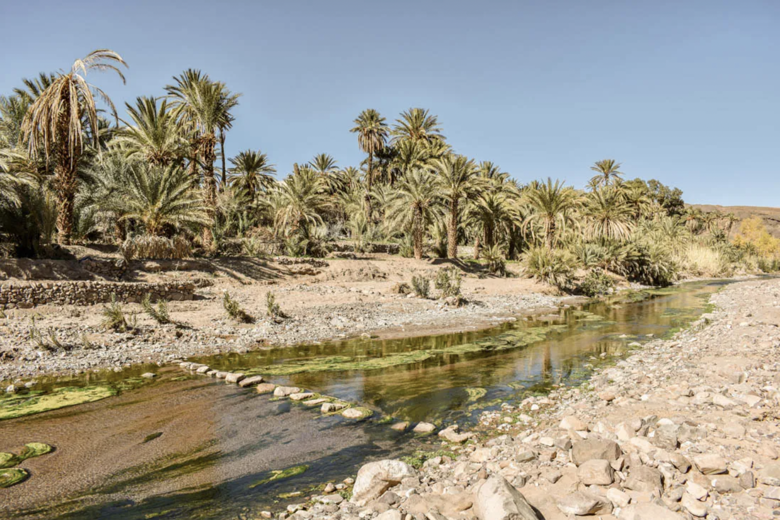 sylvie boyager tissage stage maroc berbere oasis.png
