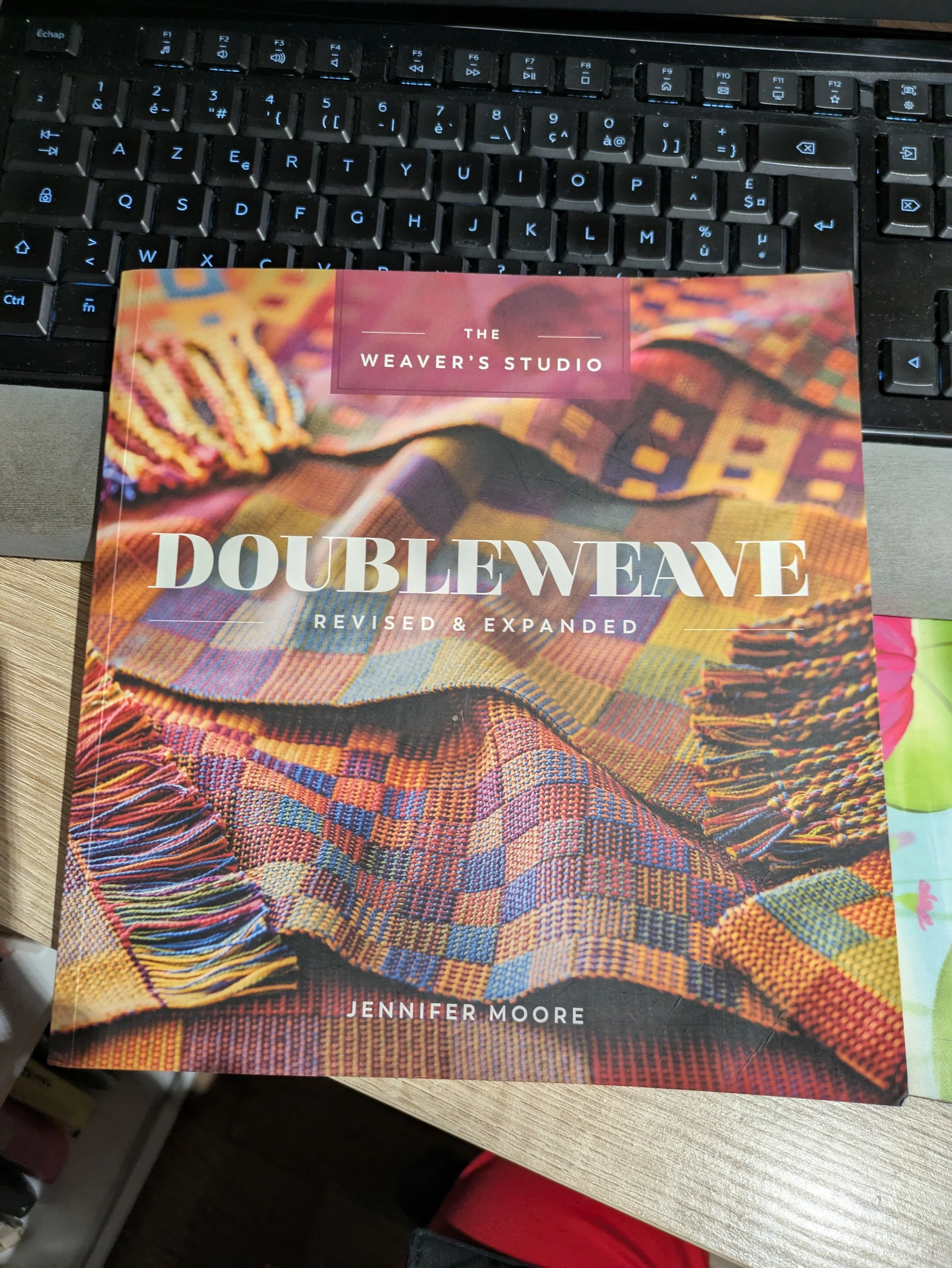 LIVRE DOUBLE WEAVE Jennifer Moore.jpg