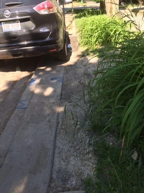 Wilson Ave example shows parkway damage past carriage walk. Photo by Rupert Medina