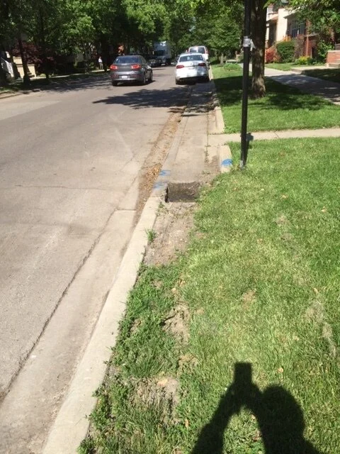 Wilson Ave example shows inconsistent carriage walk. Photo by Rupert Medina