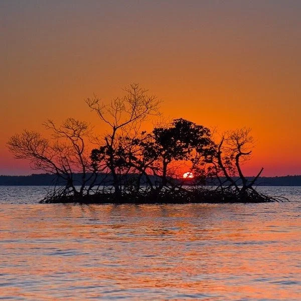 Everglades National Park is Seminole Land 