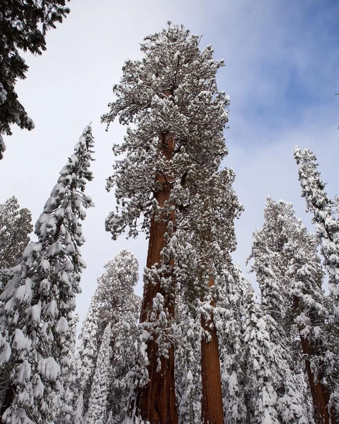 Sequoia National Park is Nyyhmy (Western Mono) Land