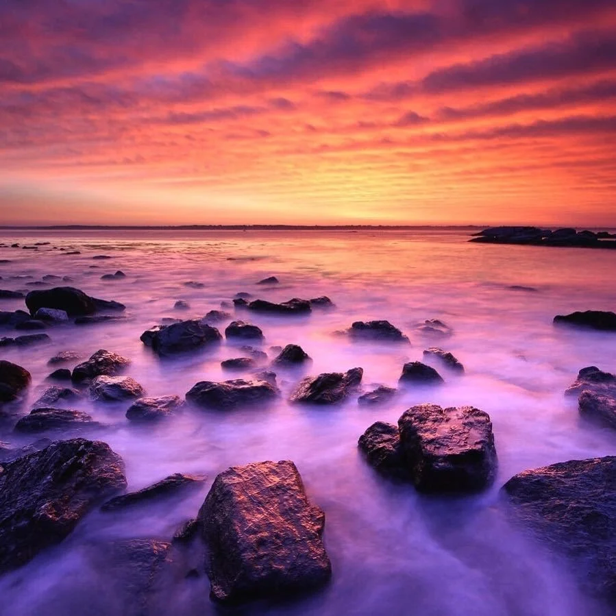 Sachuest Point National Wildlife Refuge is Wampanoag and Narragansett Land