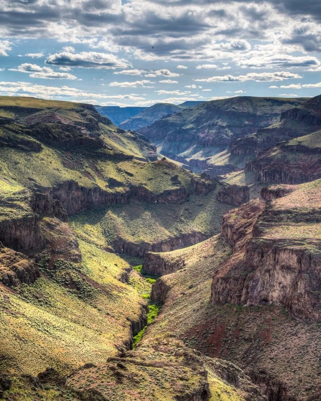 Little Jack's Creek Wilderness Area is Shoshone and Paiute Land