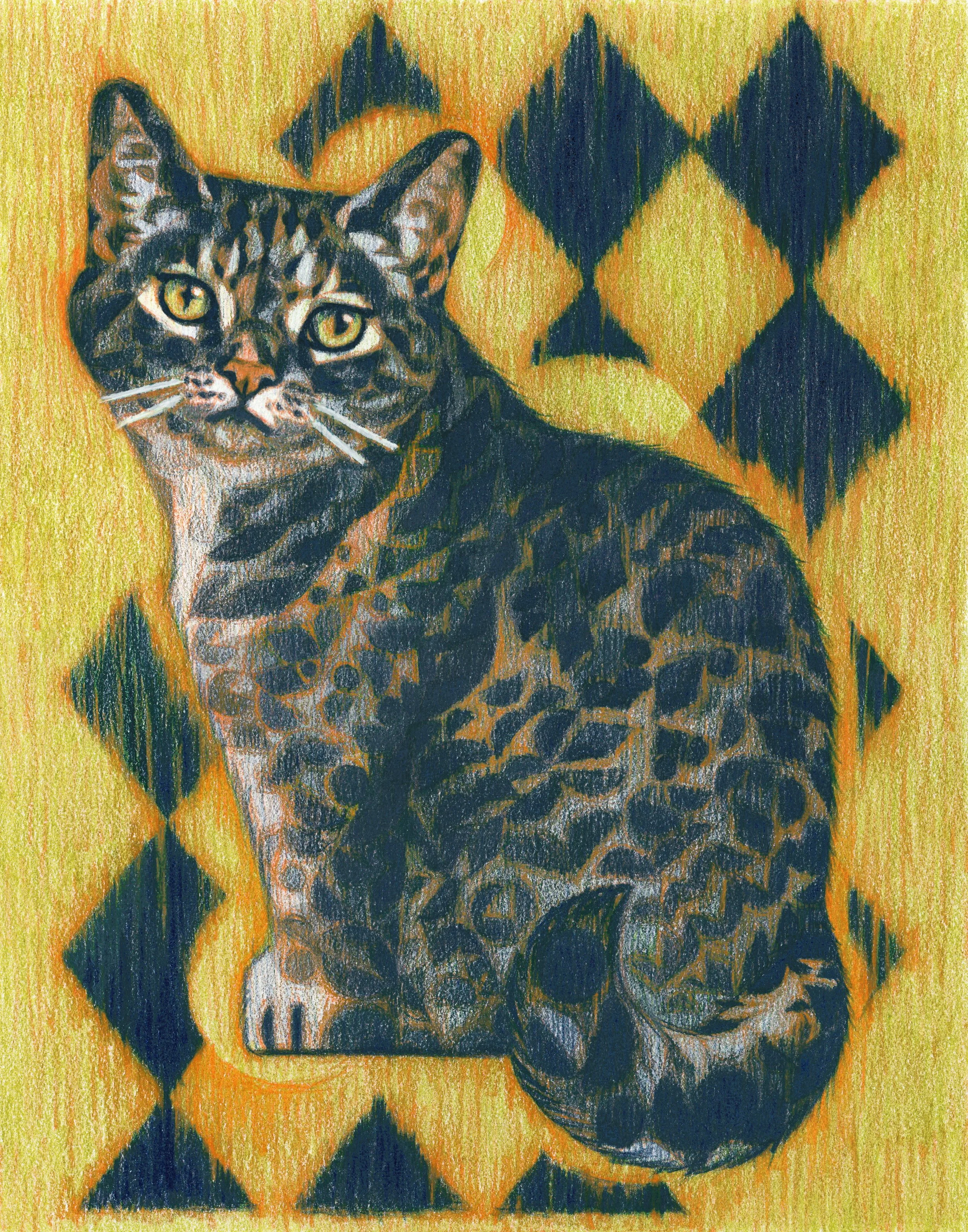 catportrait12.jpg