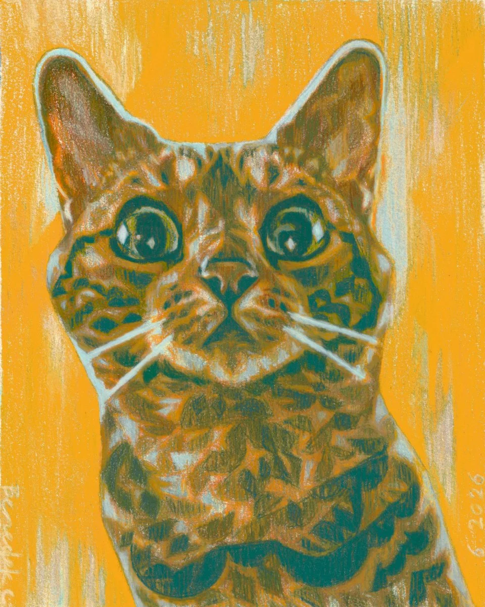 kitten_sample.jpg