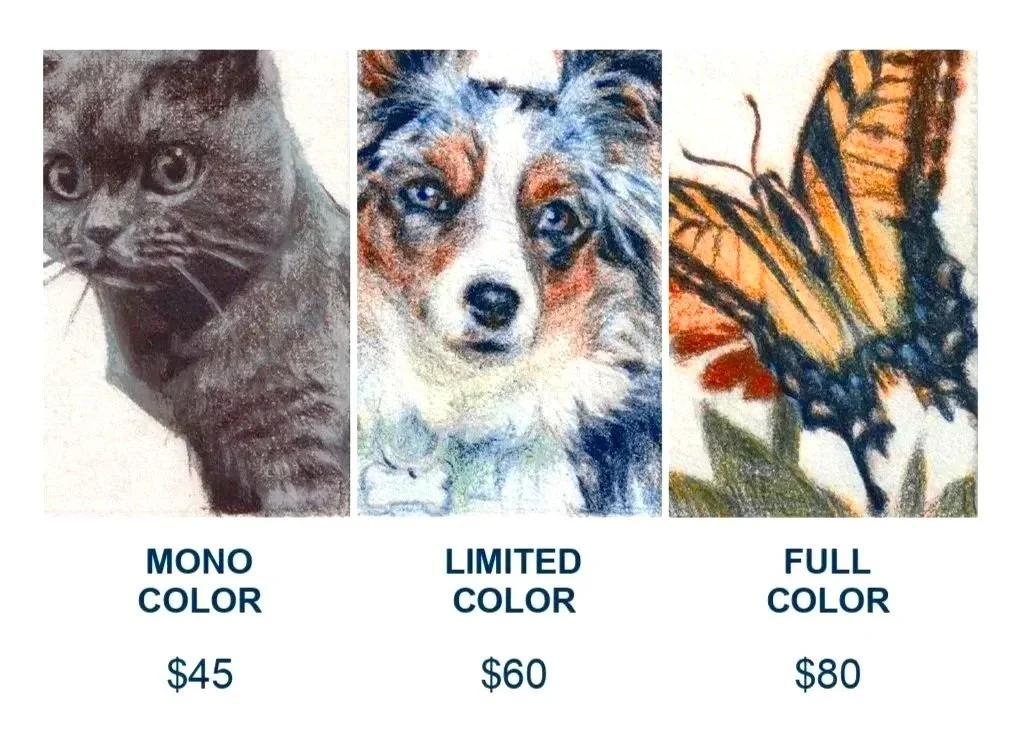 cat, dog, & butterfly, animal trading cards, animal character cards