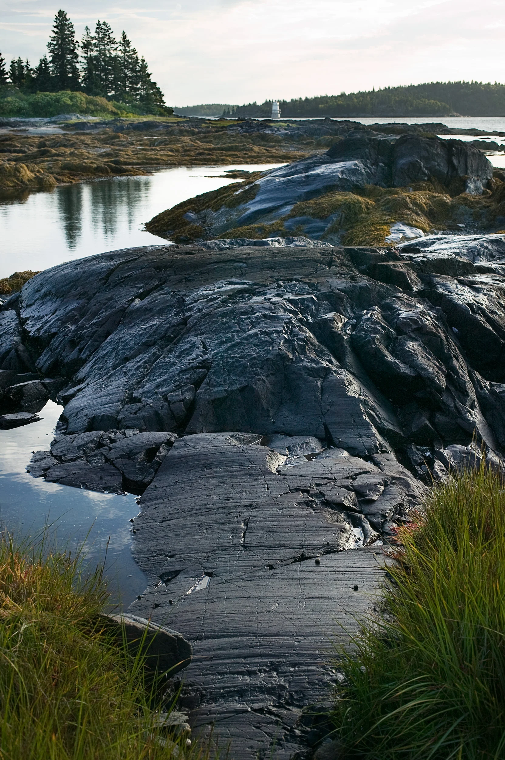 Birch Island — Ralston Gallery