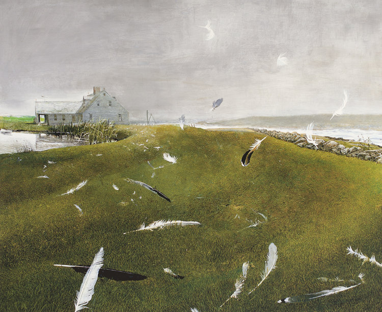 Wyeth Art Andrew Wyeth print Wyeth Art approx 13 X 17 tall. American Artist Pigeons from Andrew Wyeth New England Painting