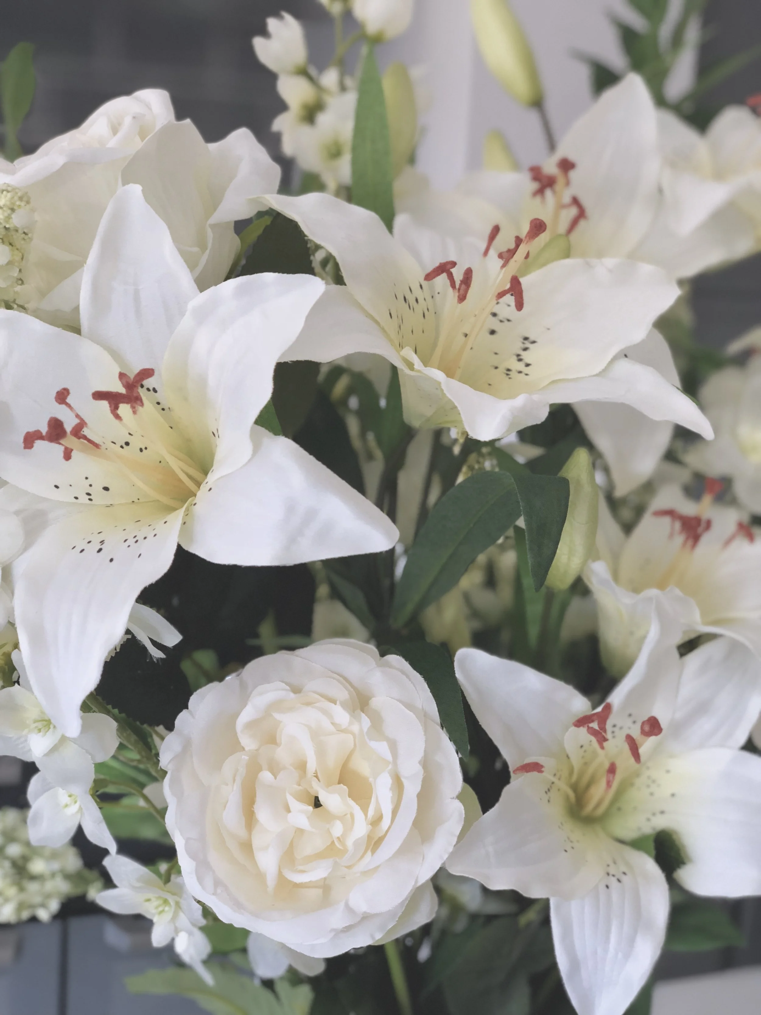 C77D5387-DB6F-4888-AB6F-968A847B367C.jpeg