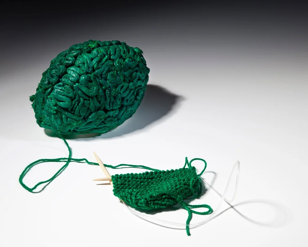 Knitting Brain 30cm x 13cm x 17cm