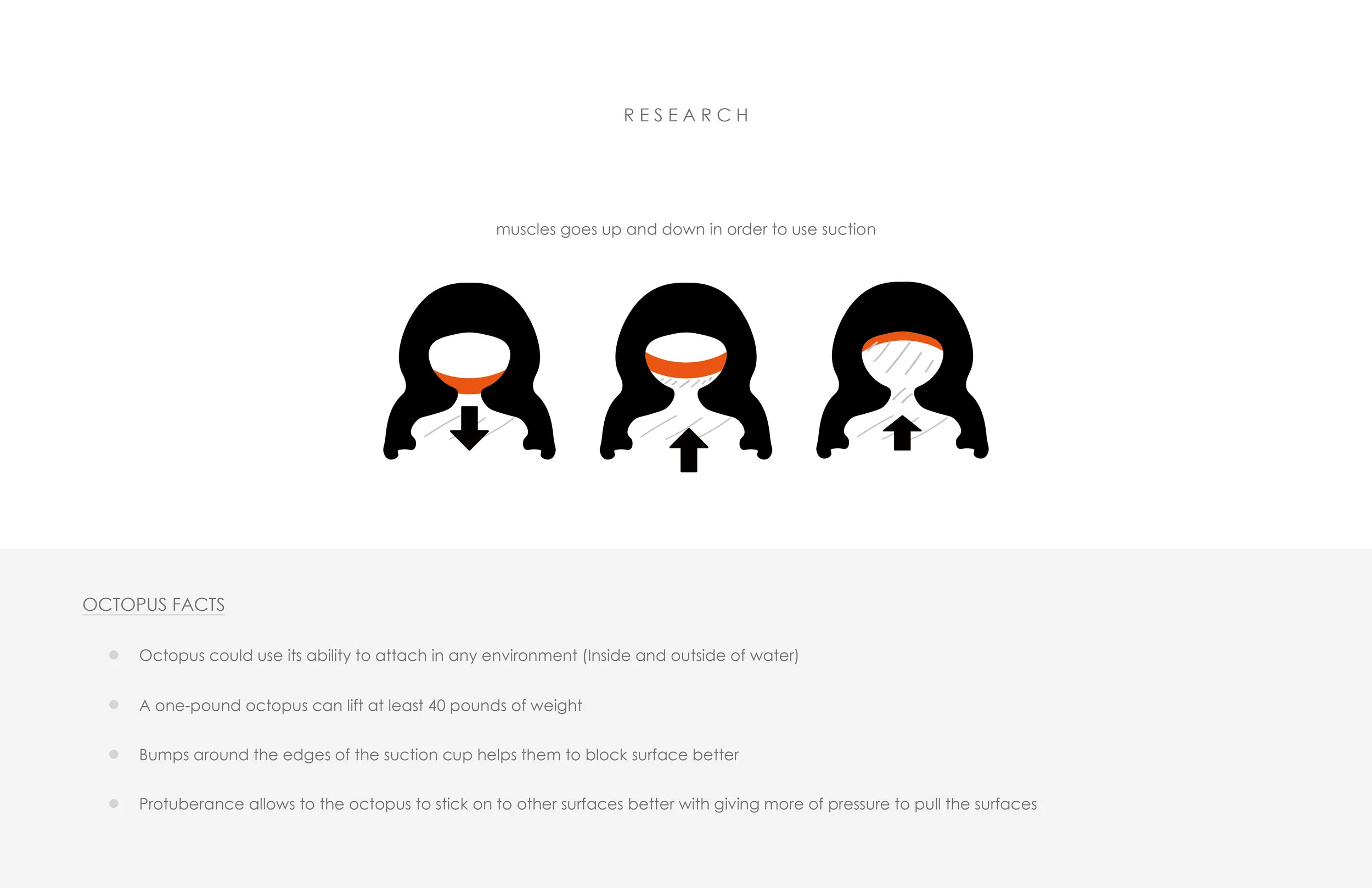 Sumin Seo Porfolio Book Fall 2018.244.jpg