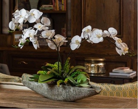 FP White Orchids in Room.jpg