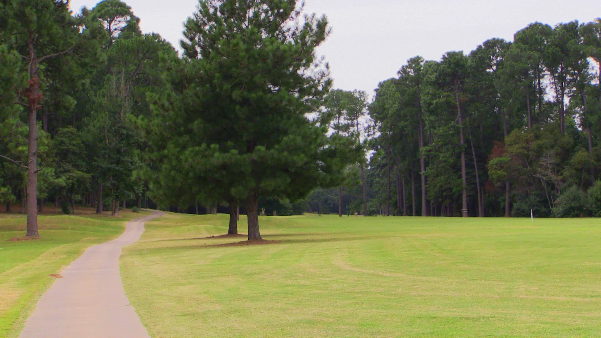 1ST HL CART PATH ON LEFT - EDITED.jpg