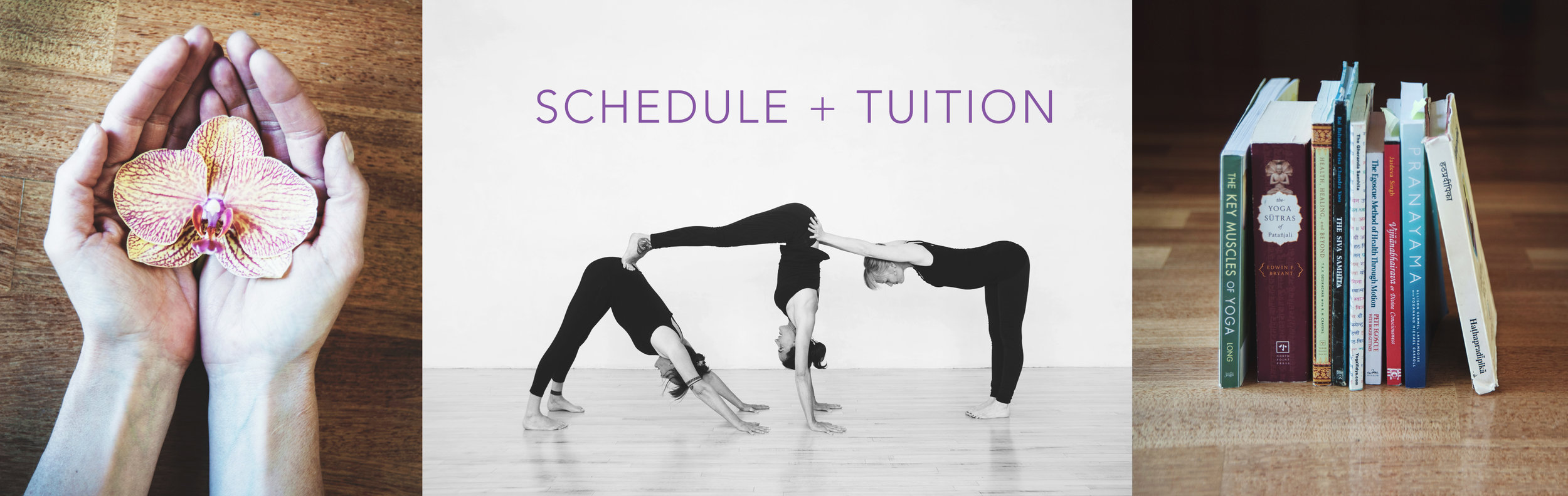 scheduletuition2.jpg