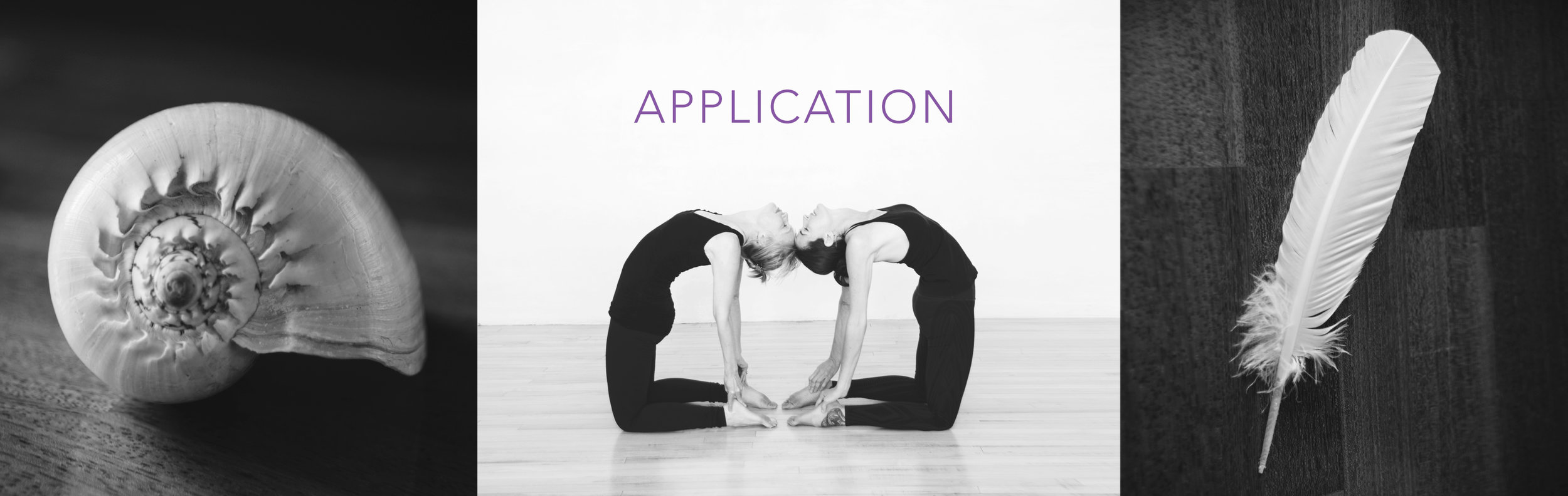 application2.jpg
