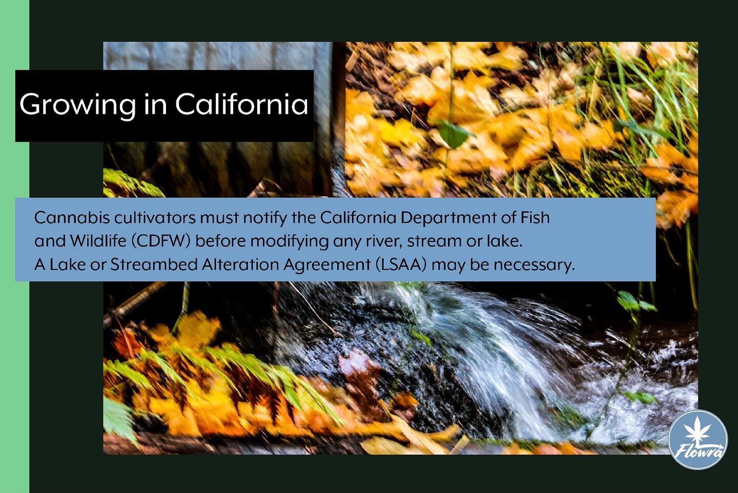 Think before you act. Growing in California requires you to be a mindful steward of our beautiful &amp; diverse landscape. Before modifying any lake, river or stream contact the California Dept. of Fish &amp; Wildlife. #cannabis #california #cannabiz