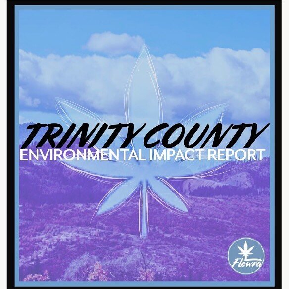 What's on your winter reading list? Get lit(erate) with Trinity County&rsquo;s latest weighty tome the Environmental Impact Report and/or the amended Cannabis Program Ordinance. Link: trinitycounty.org/node/2609 #cannabiz #trinitycountycannabis #trin