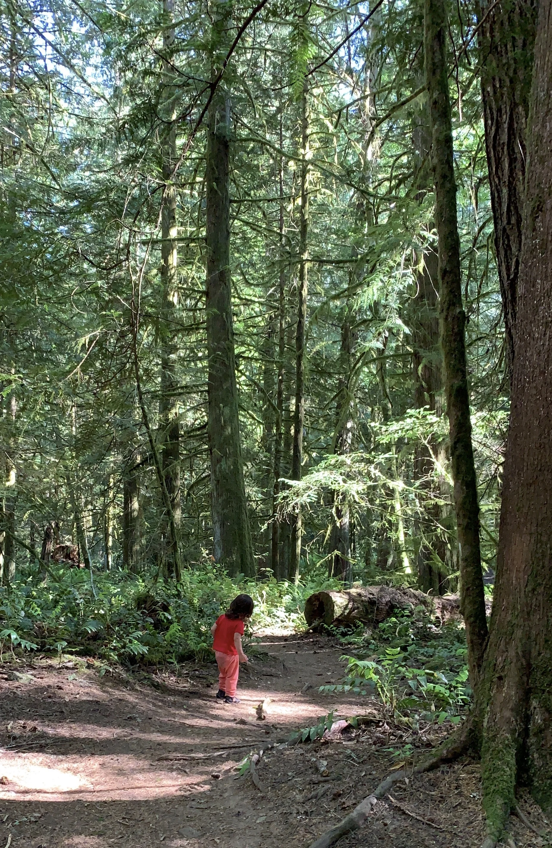 This little one greets most trees with “hello”, a gentle pat, and “goodbye”.