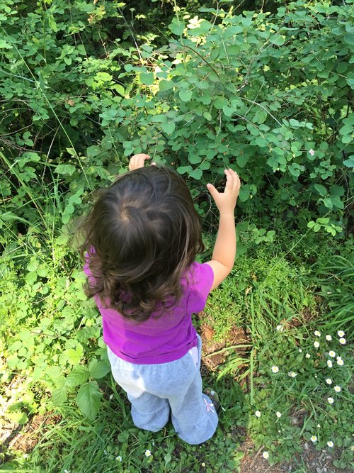 Curious about every plant and loving to all.