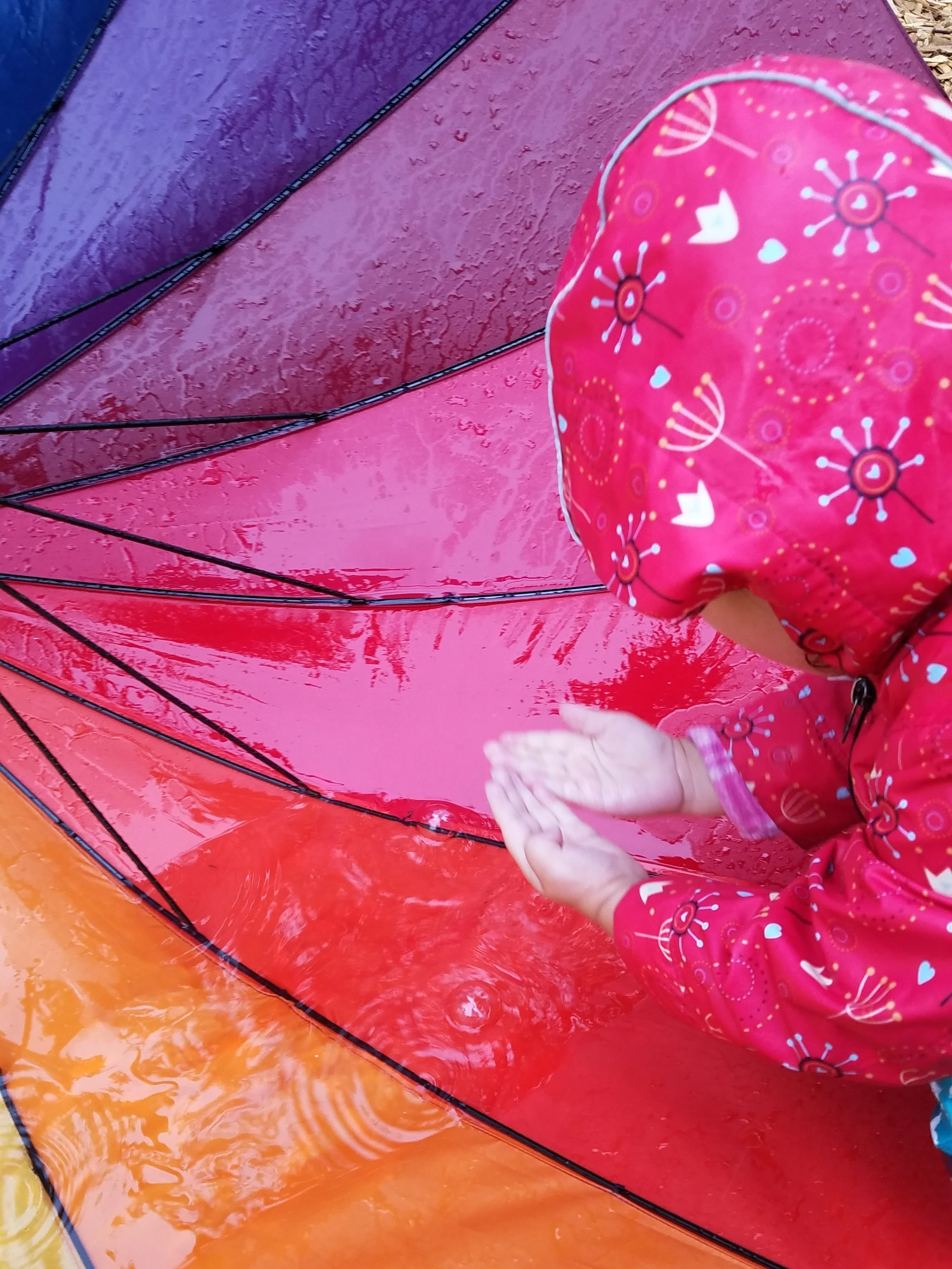 How much water can we collect in this umbrella?