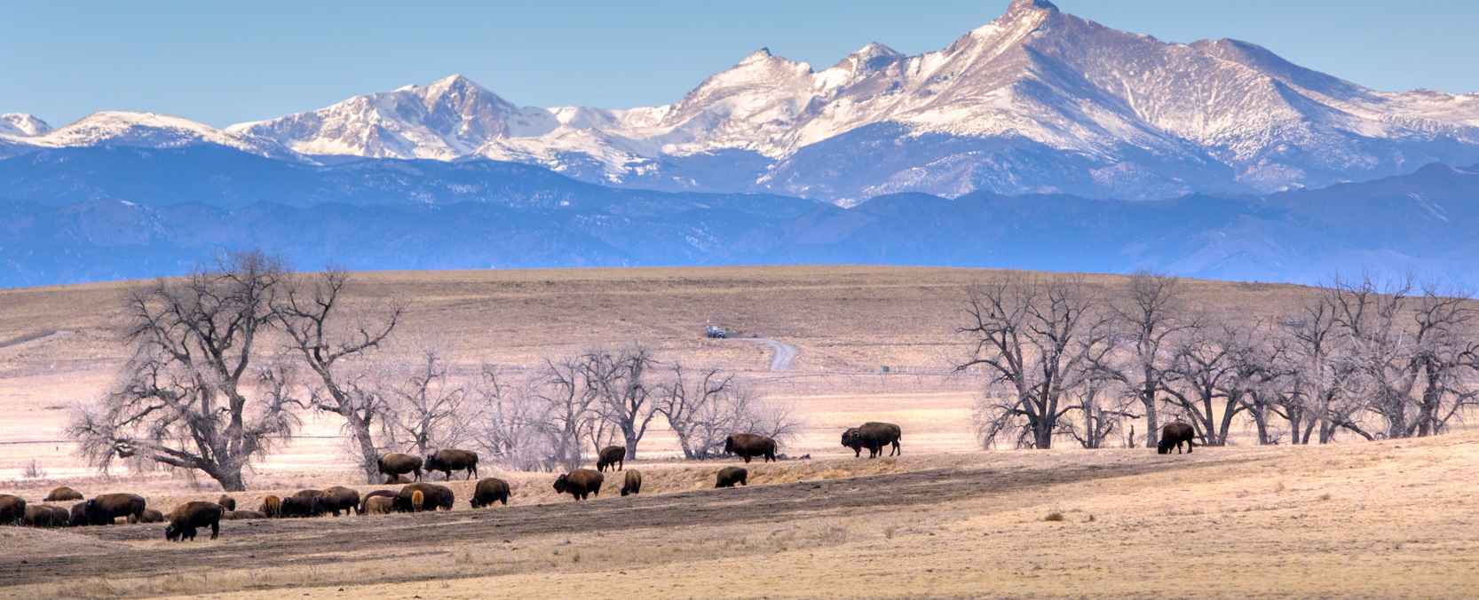 Photo by Reid Neureiter. Source: Colorado State University website .