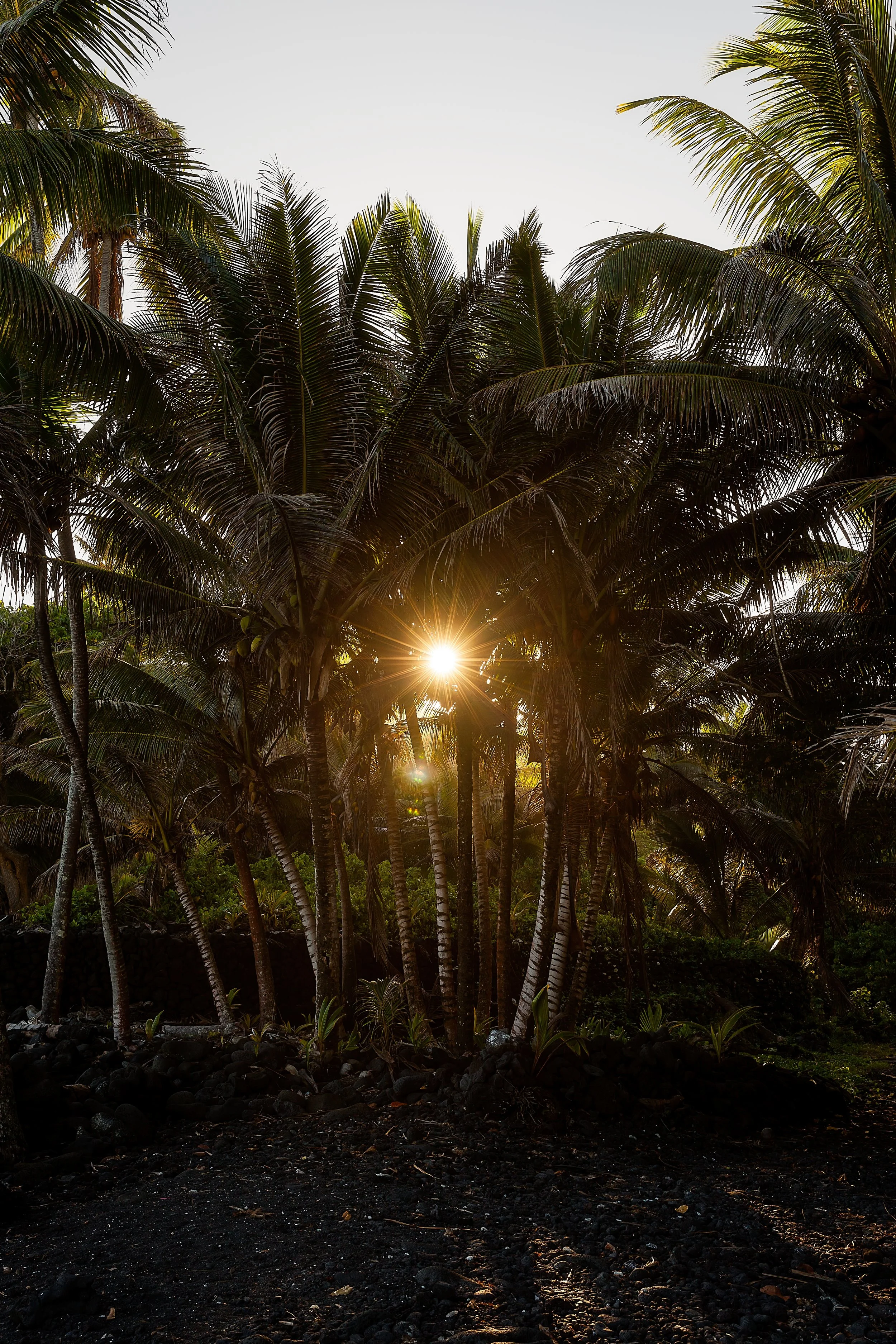 IMG_9368-Edit copy.jpg