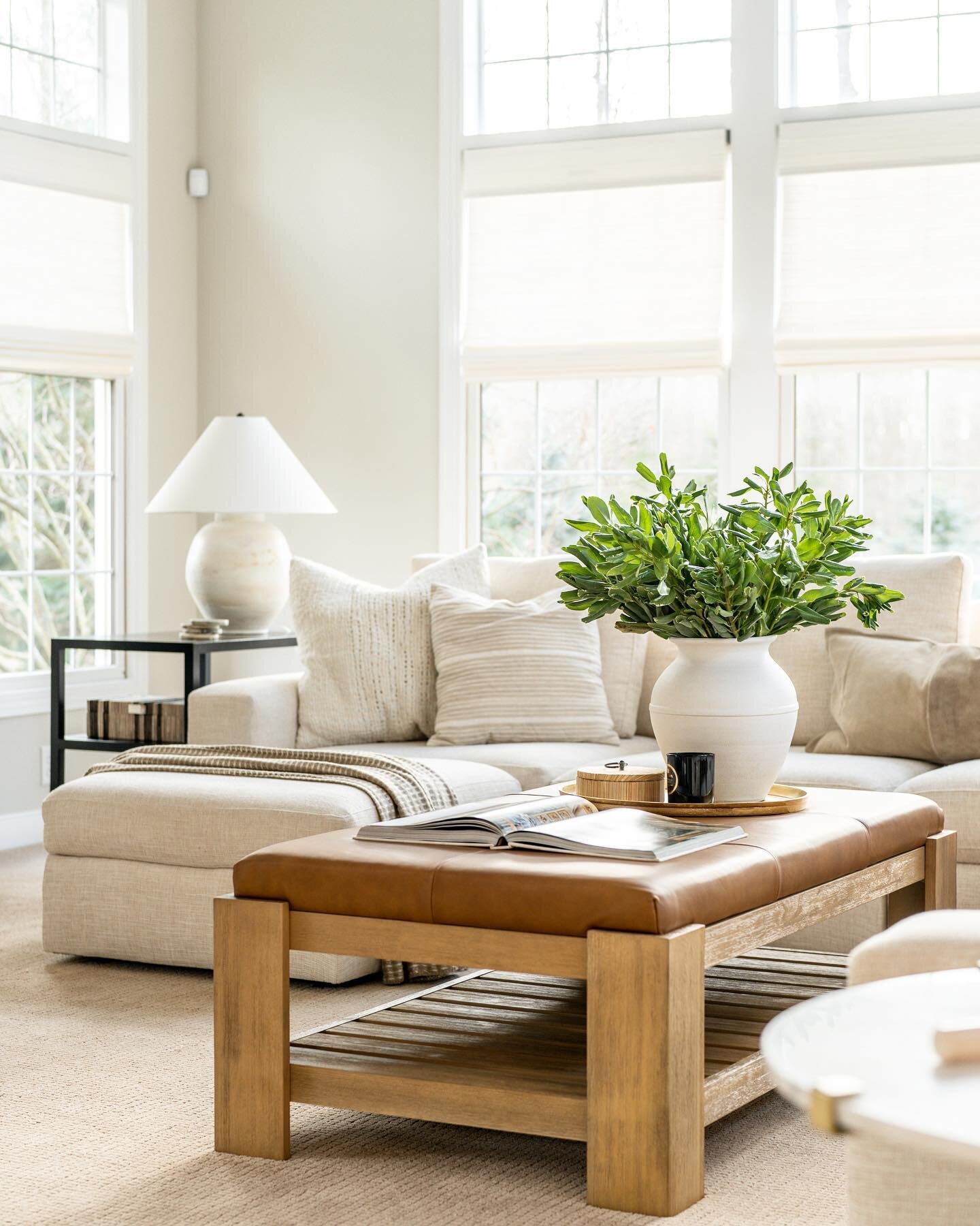 So much sun in this cozy family room&hellip; still one of my favorite spots from this project. #shawncroneinteriors