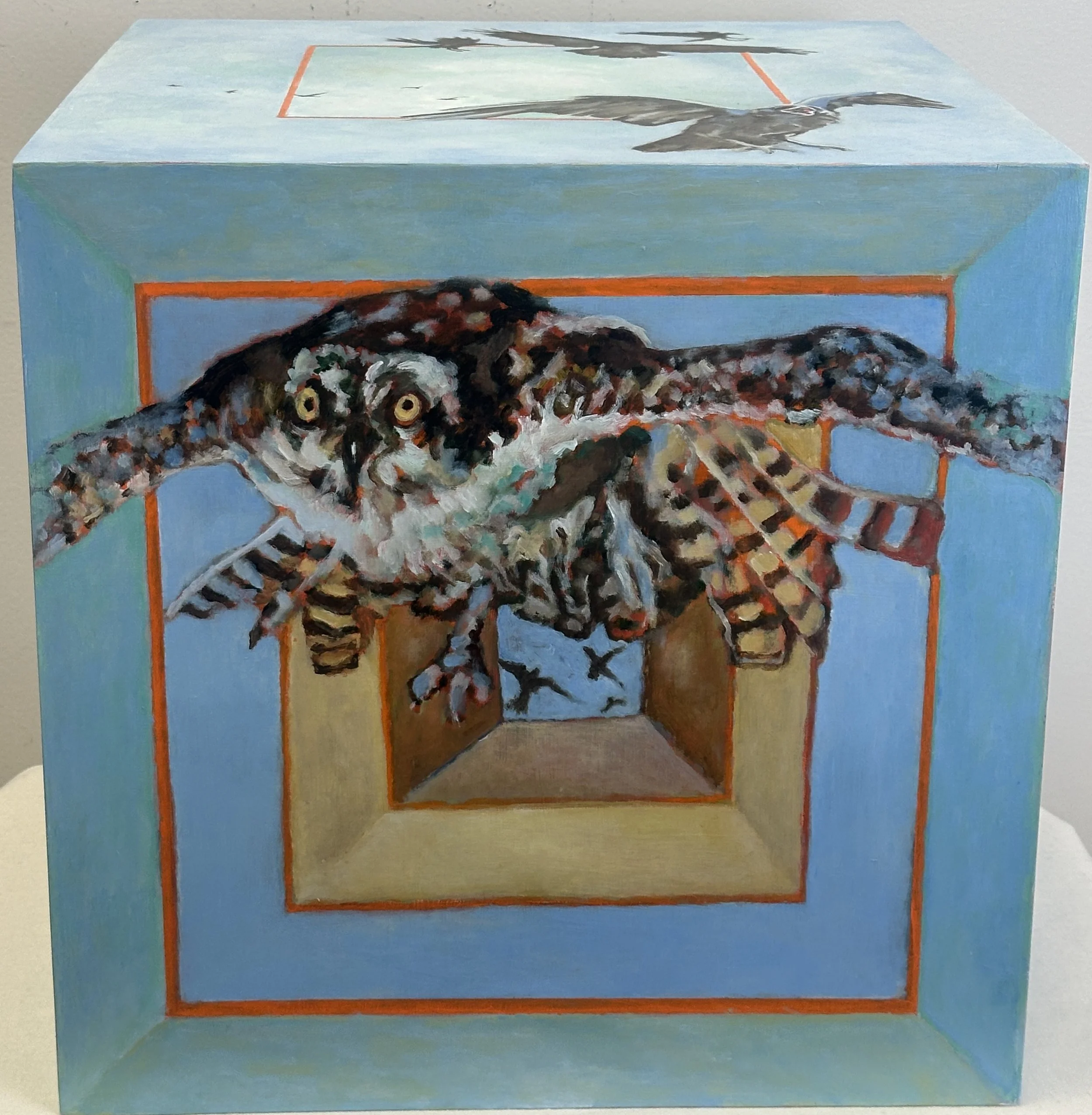 Angry Birds...another side