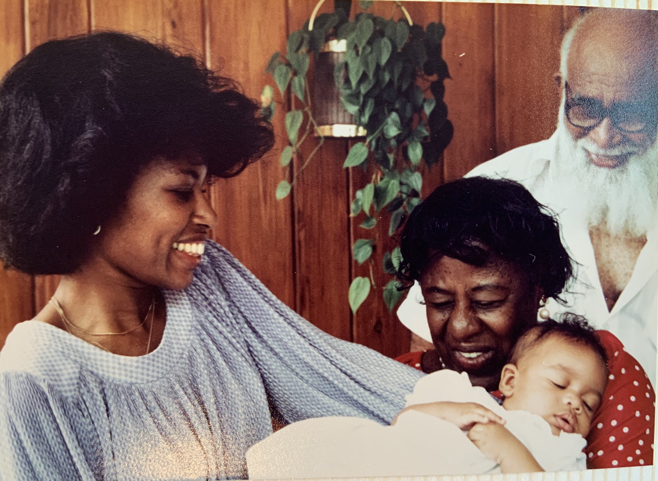 Revolutionary Mothering by Alexis Pauline Gumbs Revolutionary Mothering by Alexis Pauline Gumbs