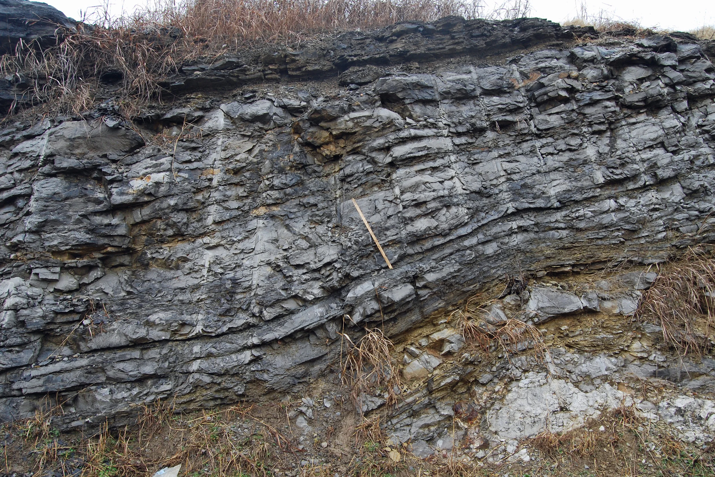 Lower Meramecian Tahlequah Limestone (middle unit) overlying cherty osagean strata an dunderlying shaly limestone of the Mayes Group