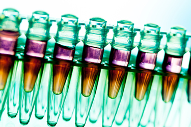 While many people don’t correlate unhealthy gums with cancer, recent research does draw a link.