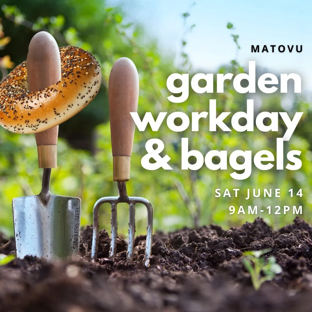 Garden Workday + Bagels