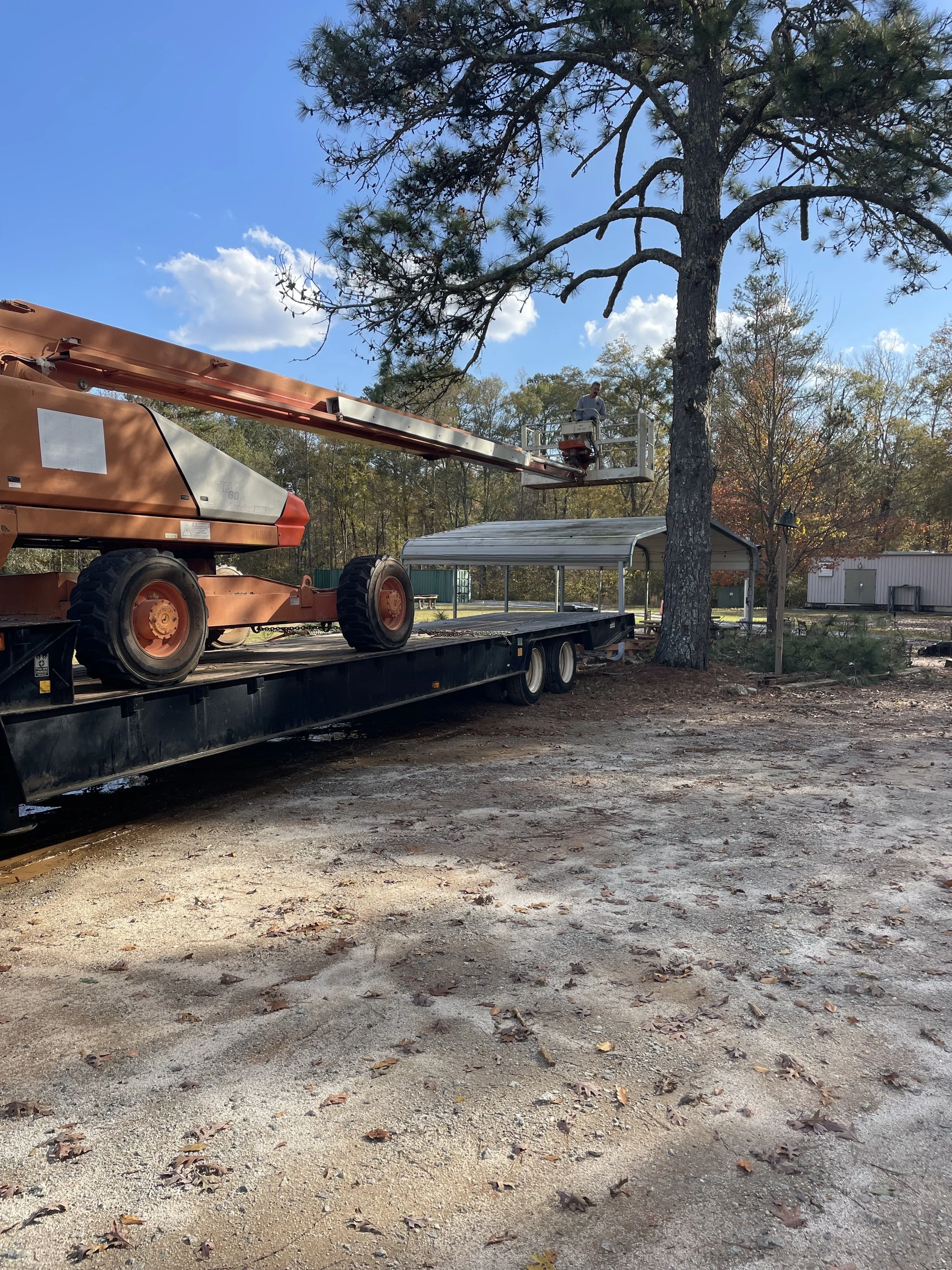 🌲 A Huge Thanks — and a Call for Helping Hands!