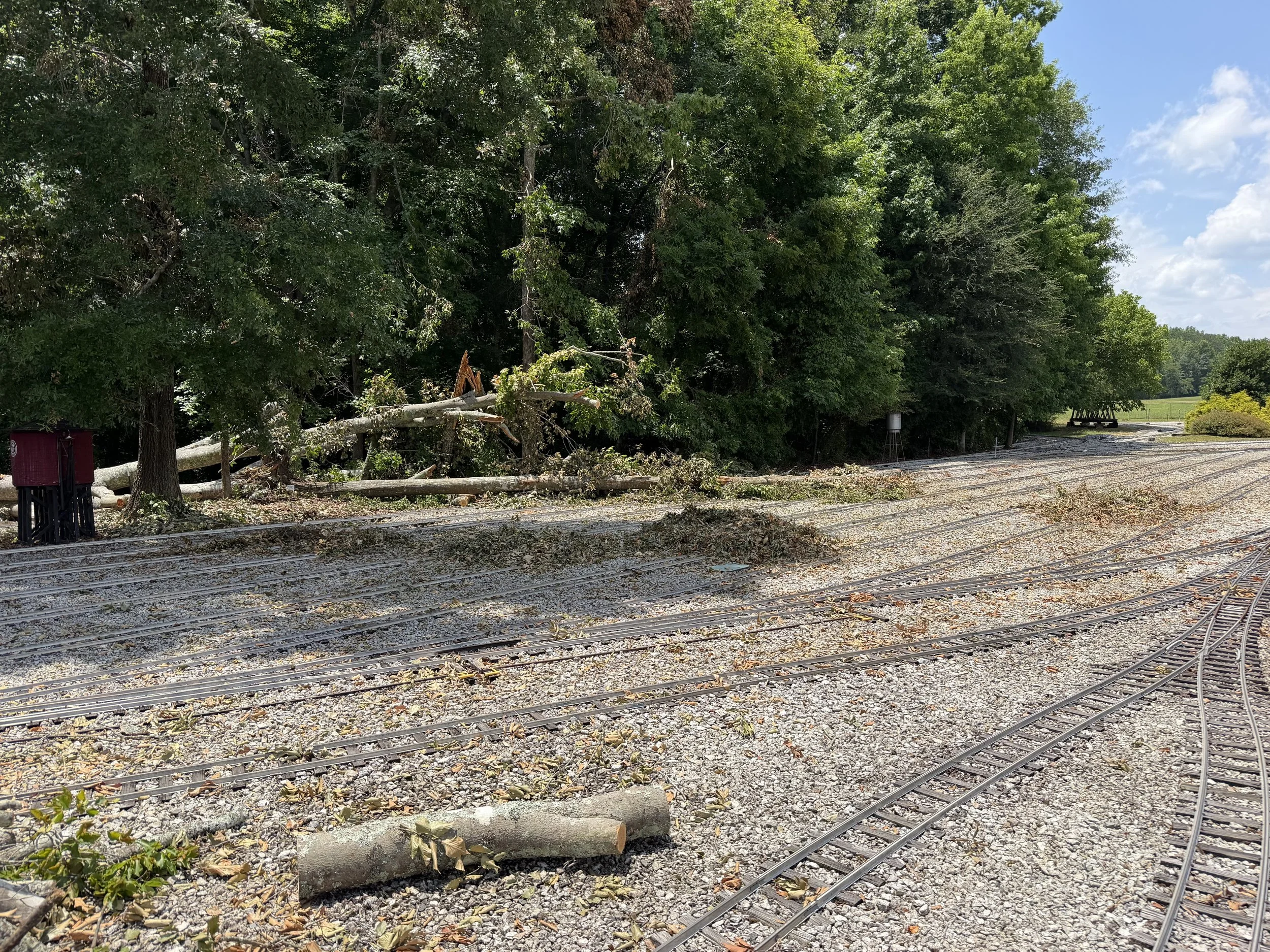 🌳Storm Cleanup Workday Update🌳