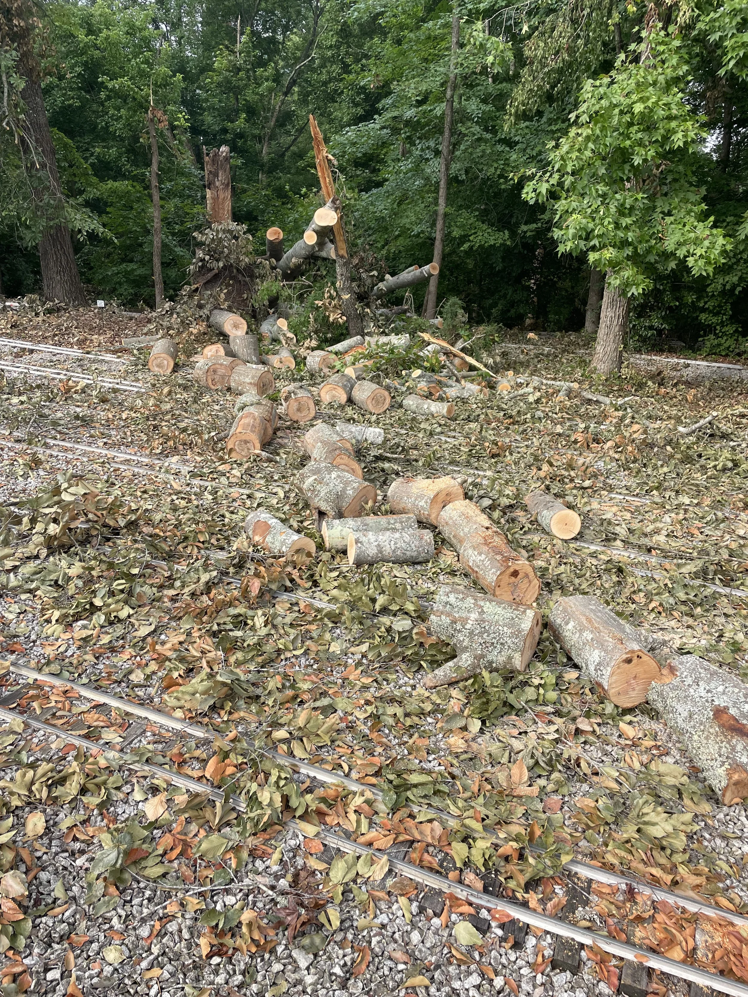 🚂 Storm Cleanup &amp; Shop Project Update – July 2, 2026 🌳