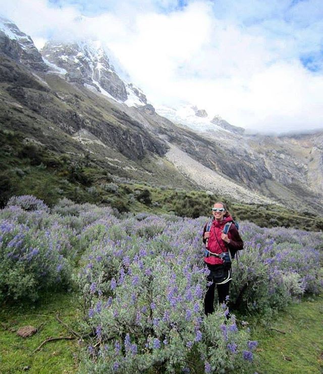 #Throwback to that one time in the Peruvian Andes when I ended up walking through a whole valley carpeted in these vibrant flowers, beneath stunning glaciers clinging to soaring peaks...and I started crying because this planet is just so GOSH DANG BE