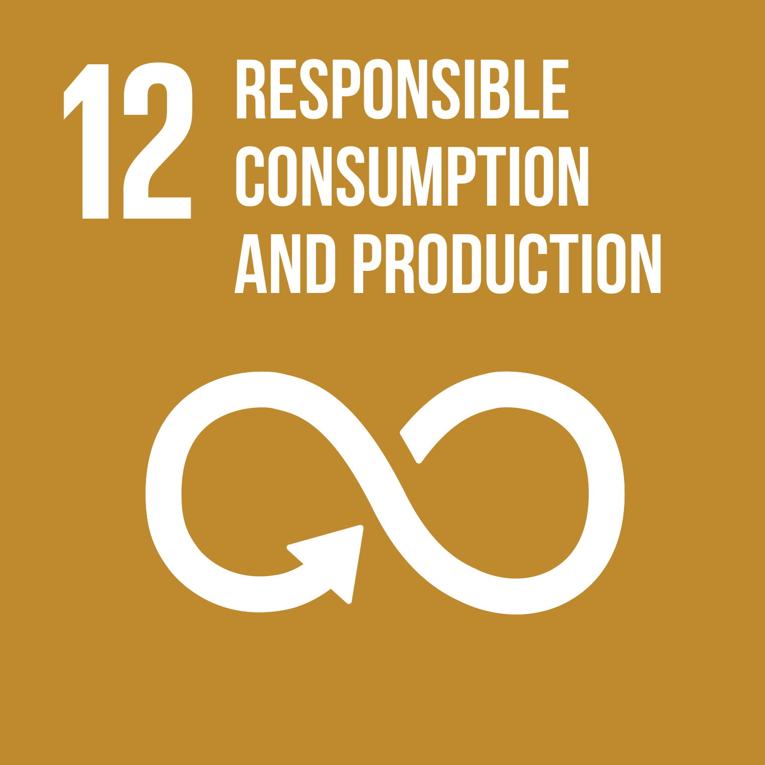 12-Responsible-consumption-and-production.png