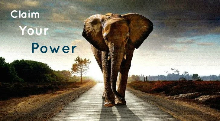 elephant-power1.jpg