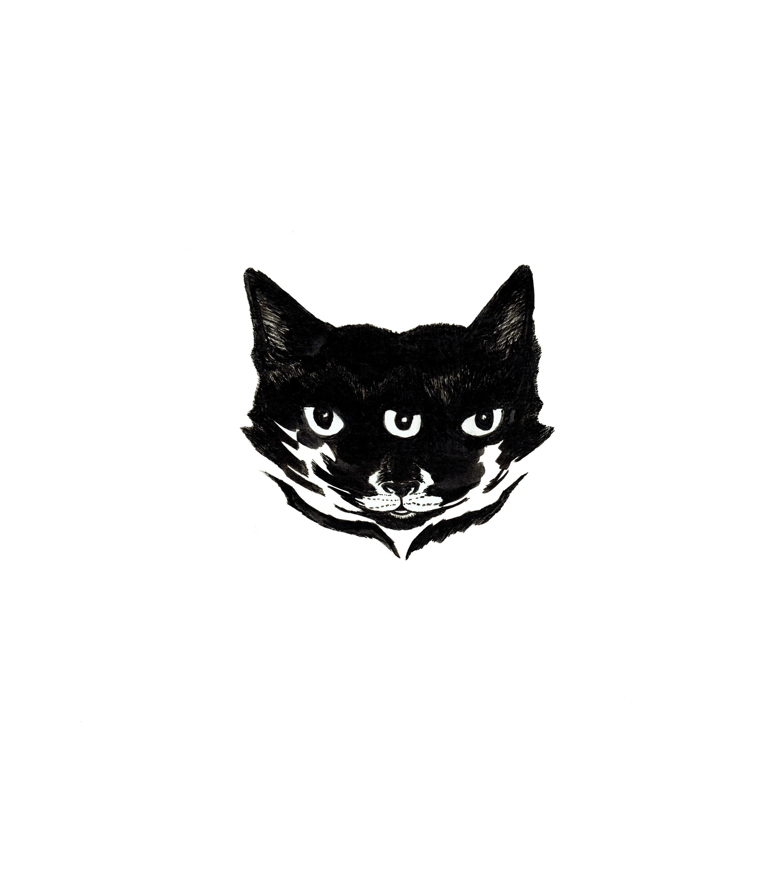 threecatWEB.jpg