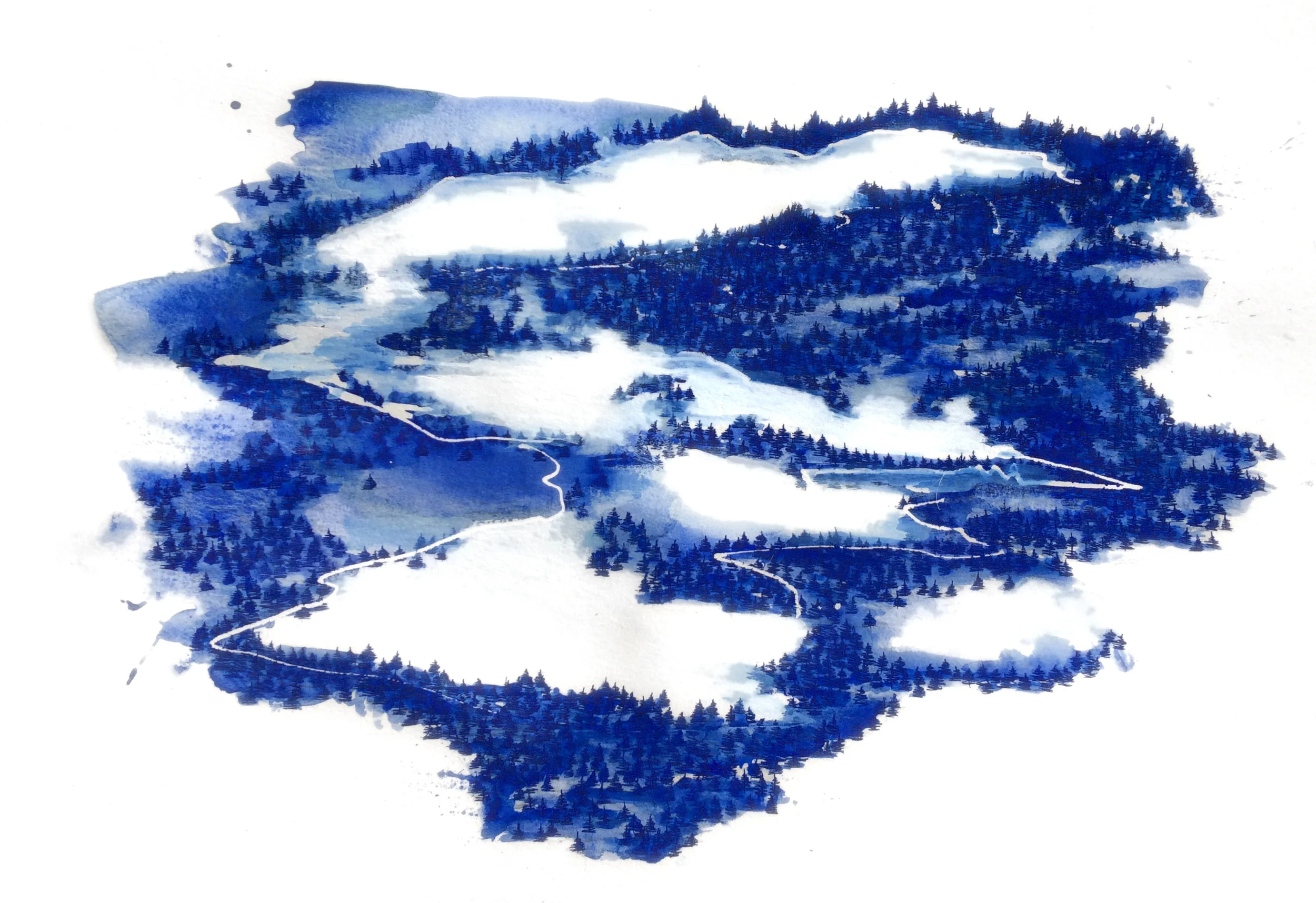 ski trails.JPG