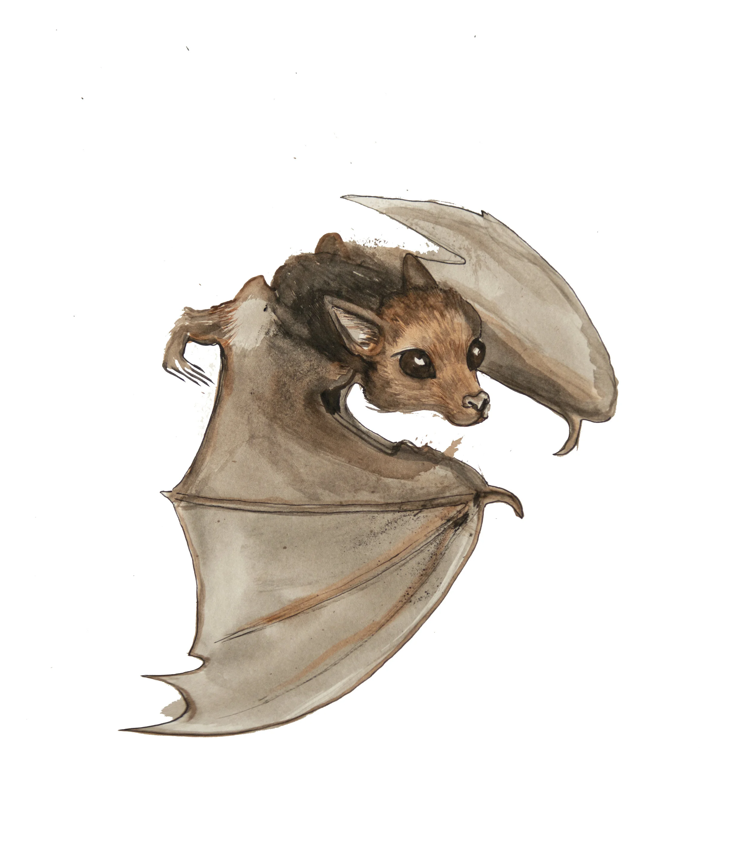 bat.jpg