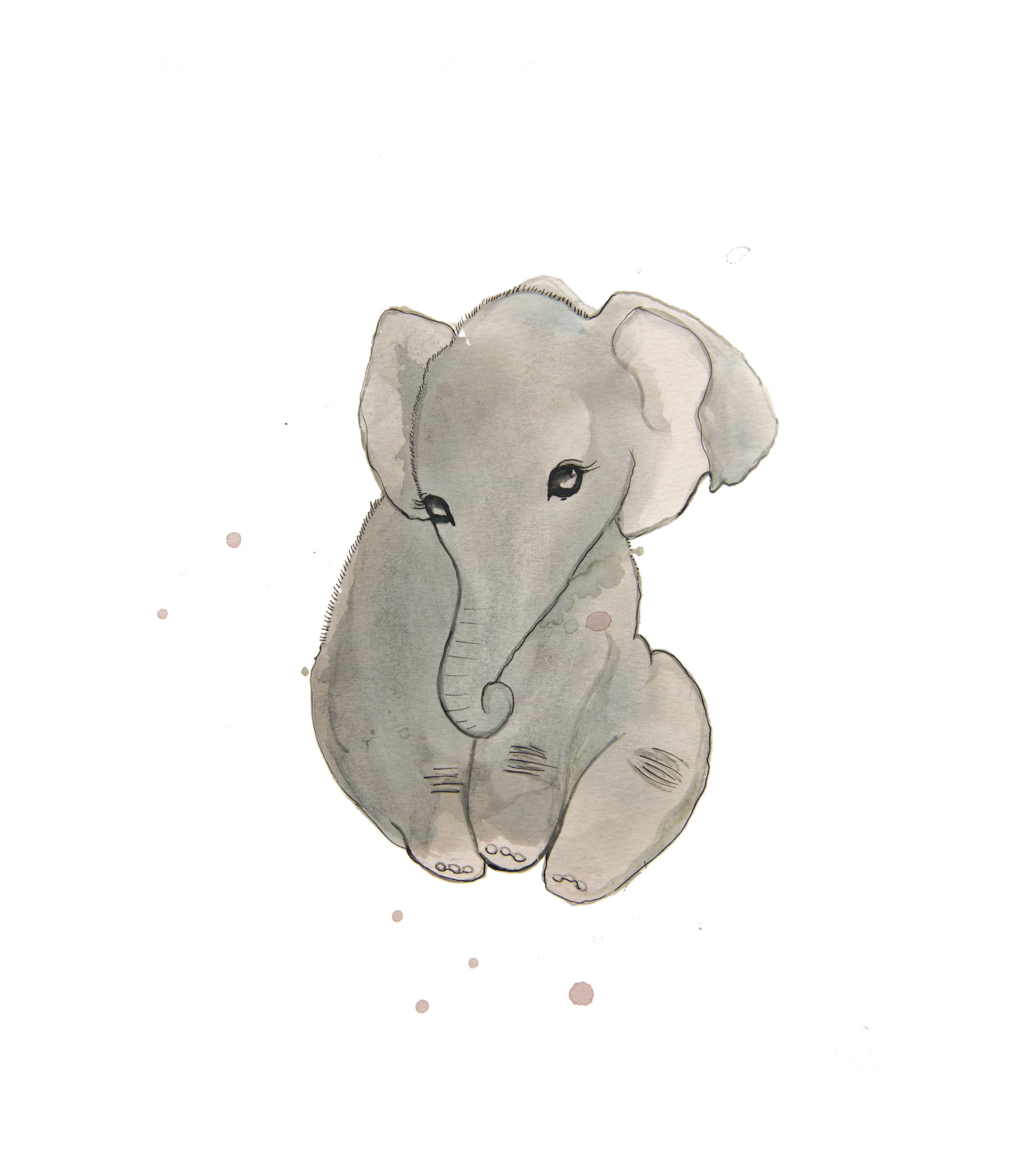elephant.jpg