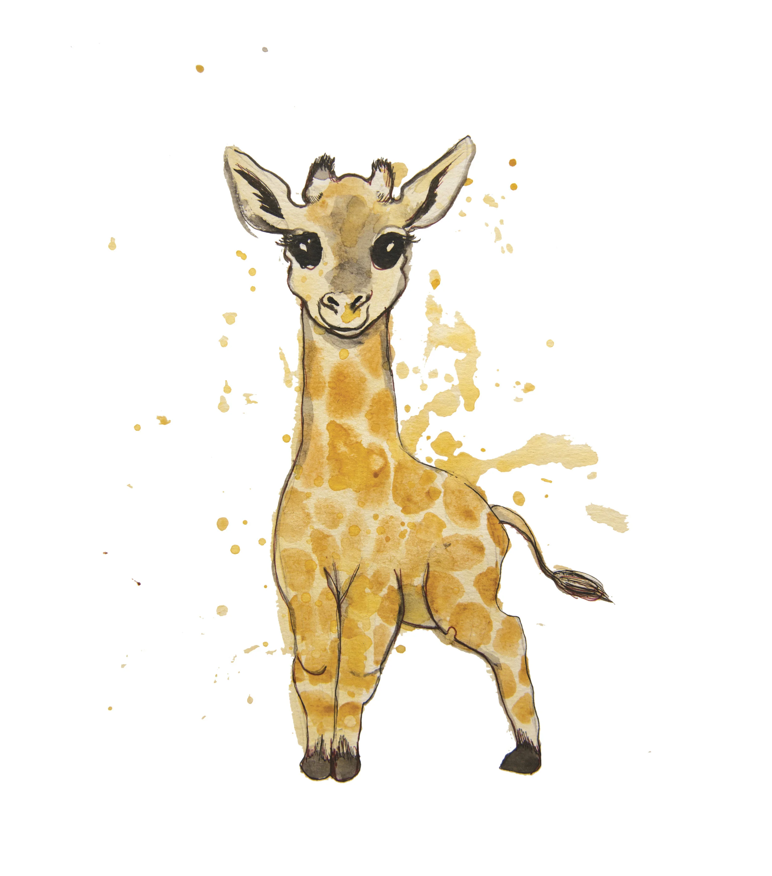 giraffe.jpg