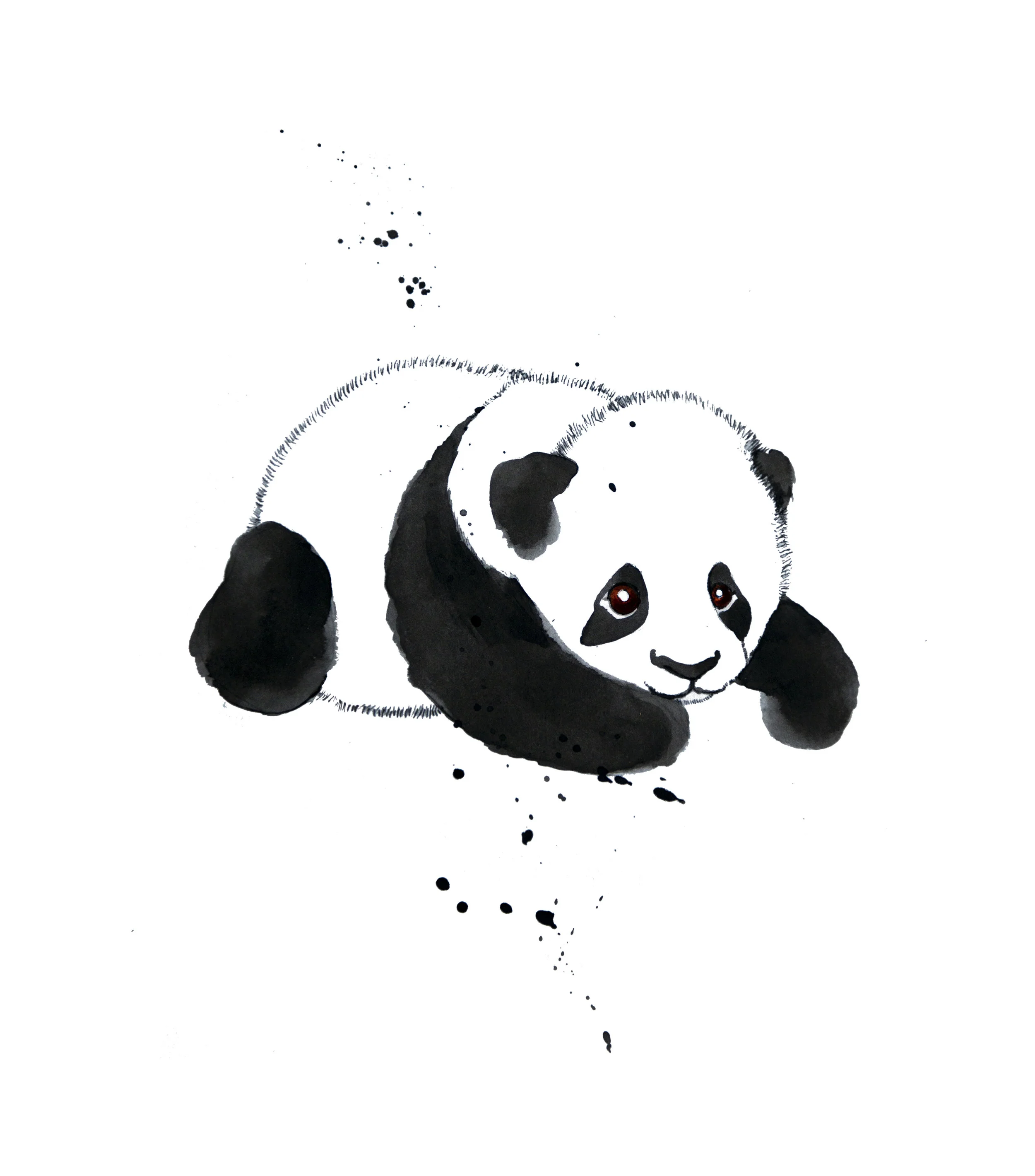 panda.jpg