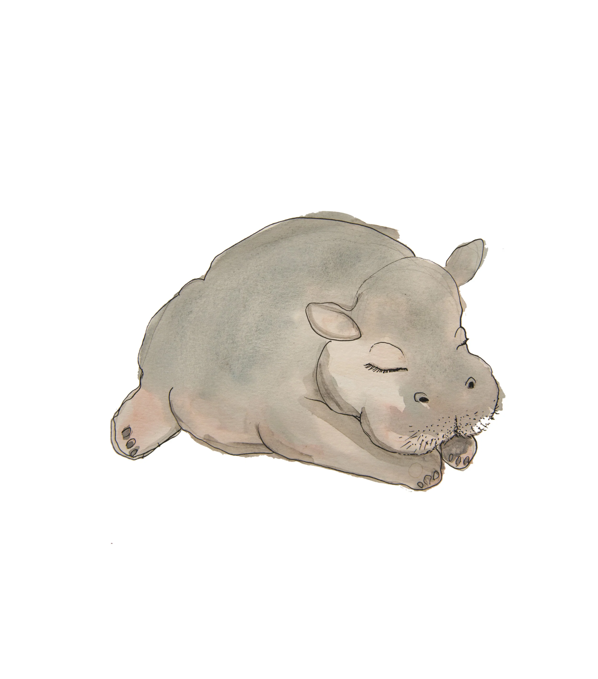 hippo.jpg
