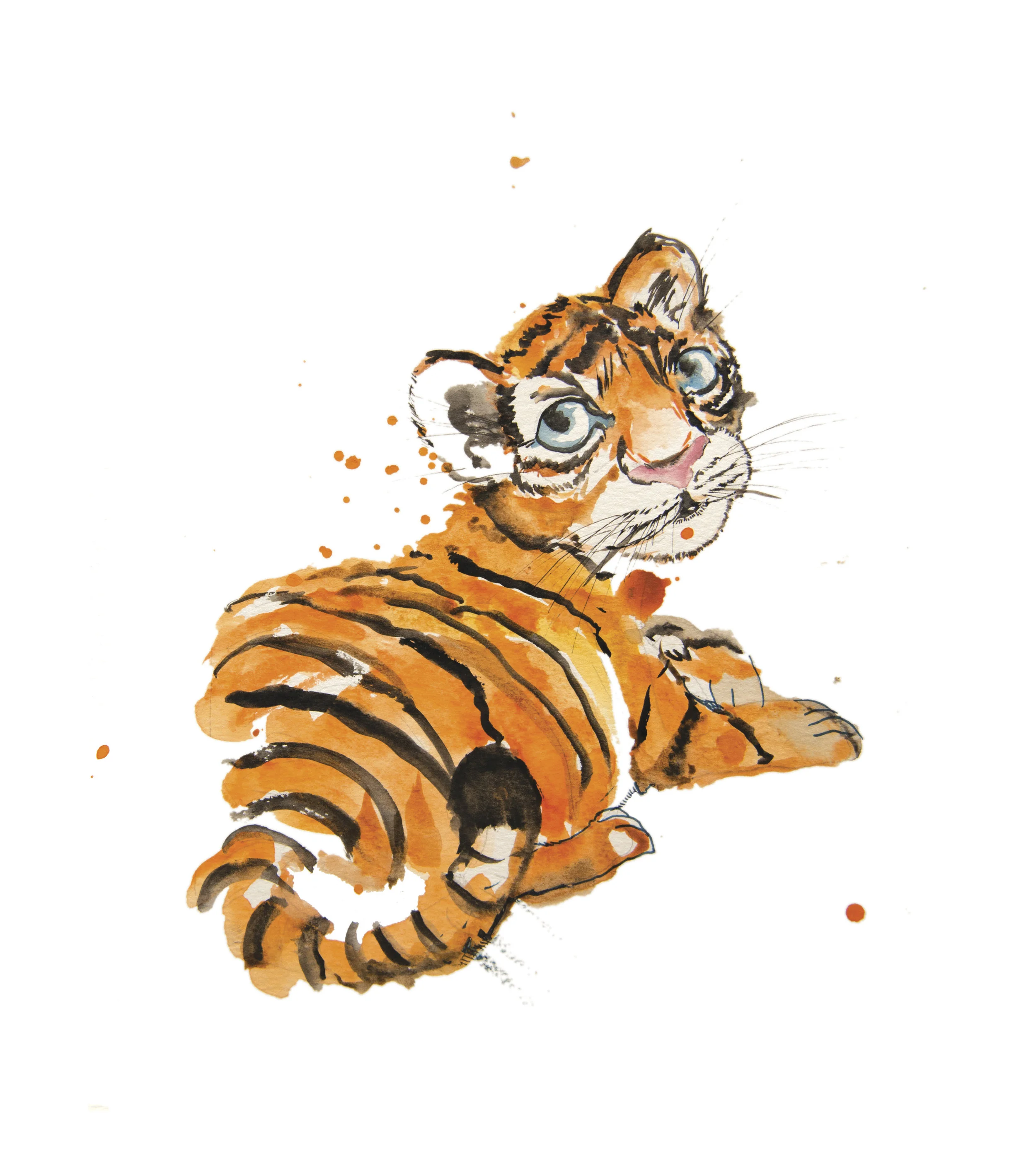 tiger.jpg