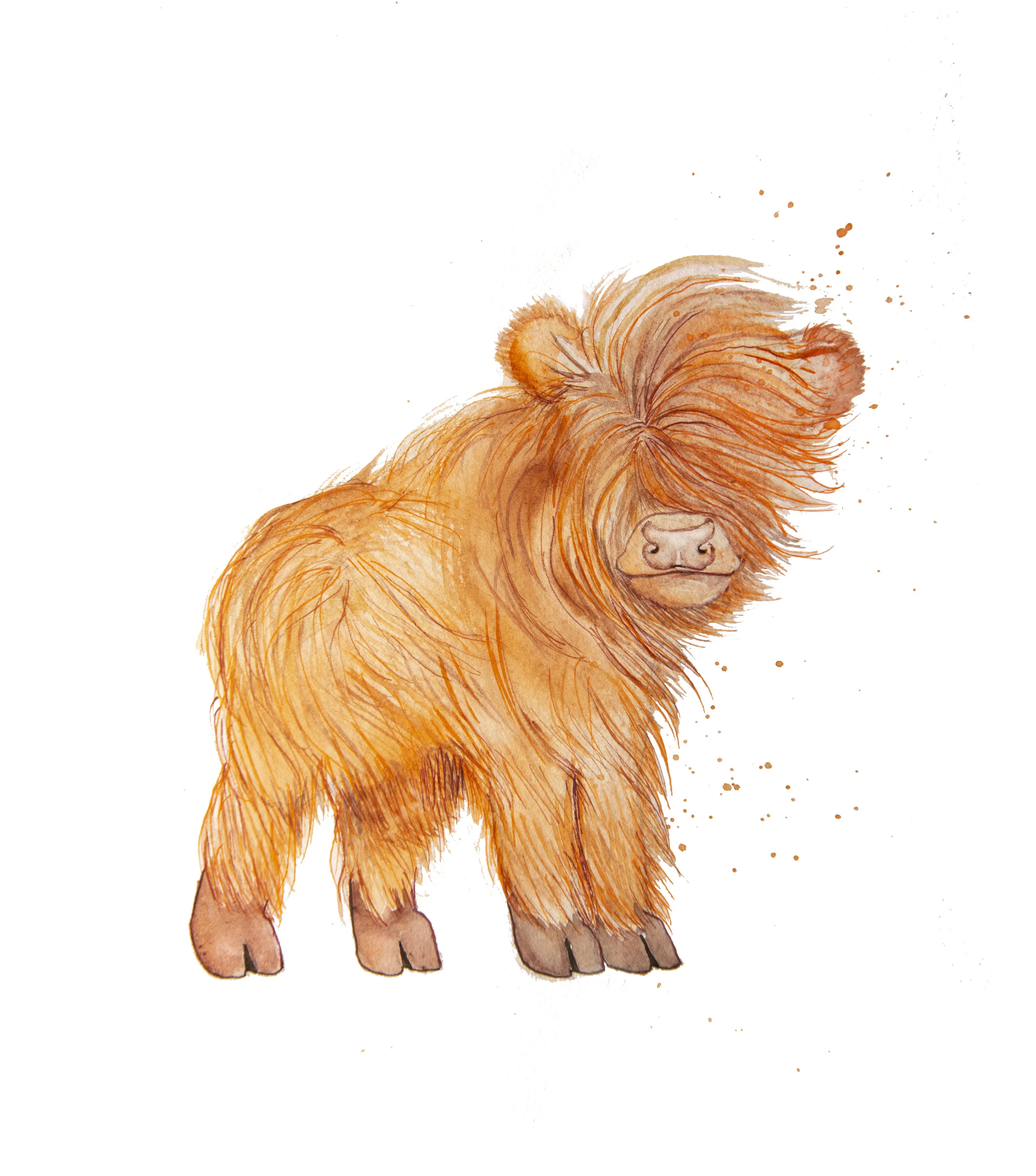 yak.jpg