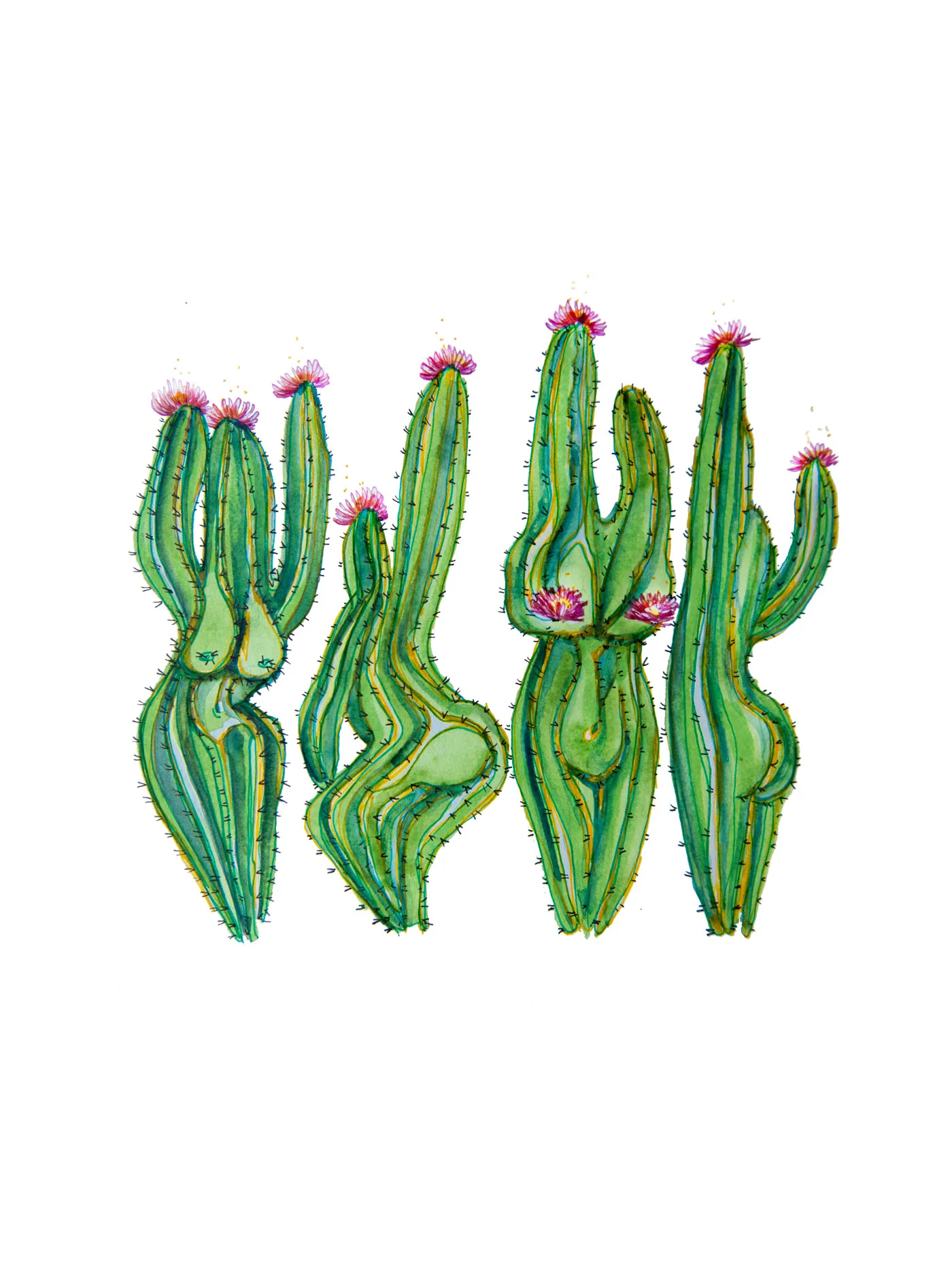 sexy-cactiWEB.jpg