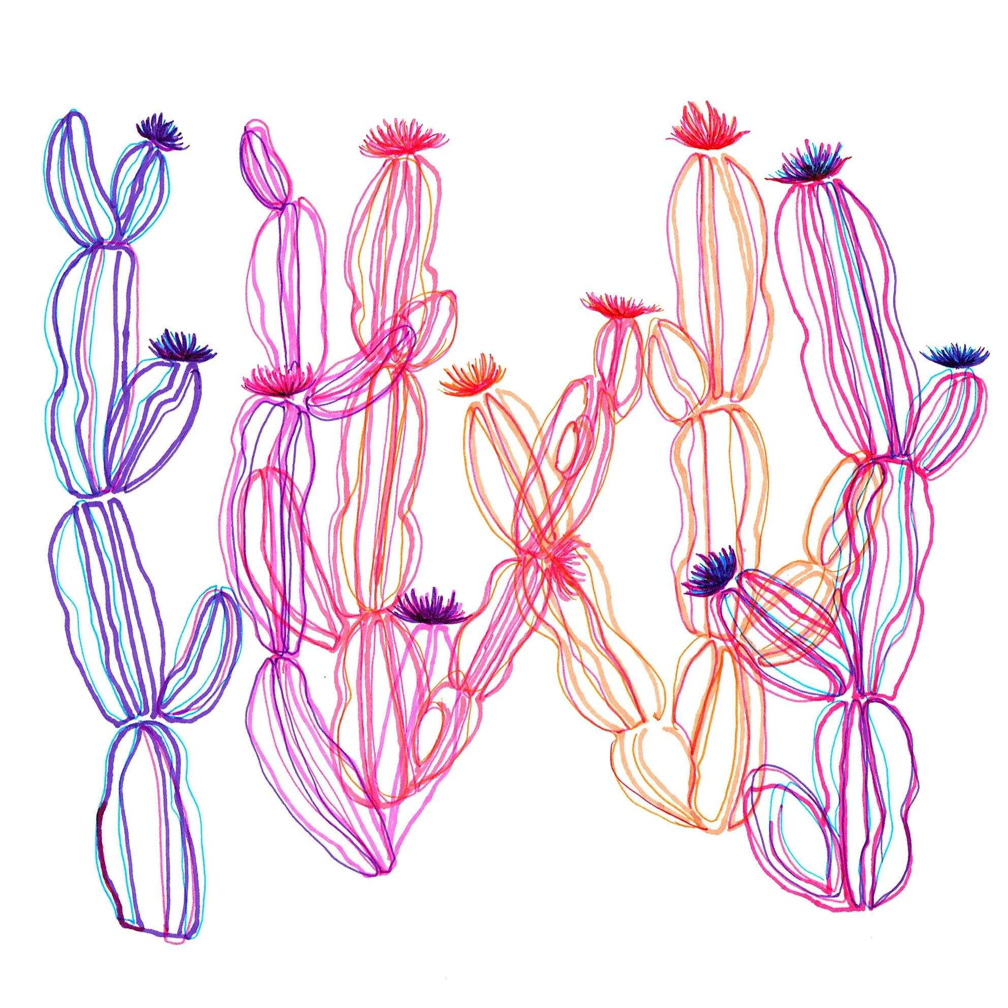 pinkcacti.jpg